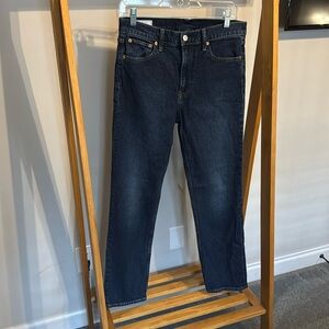 Gap Jeans 90’s Straight High Rise Size 29/8 Regular